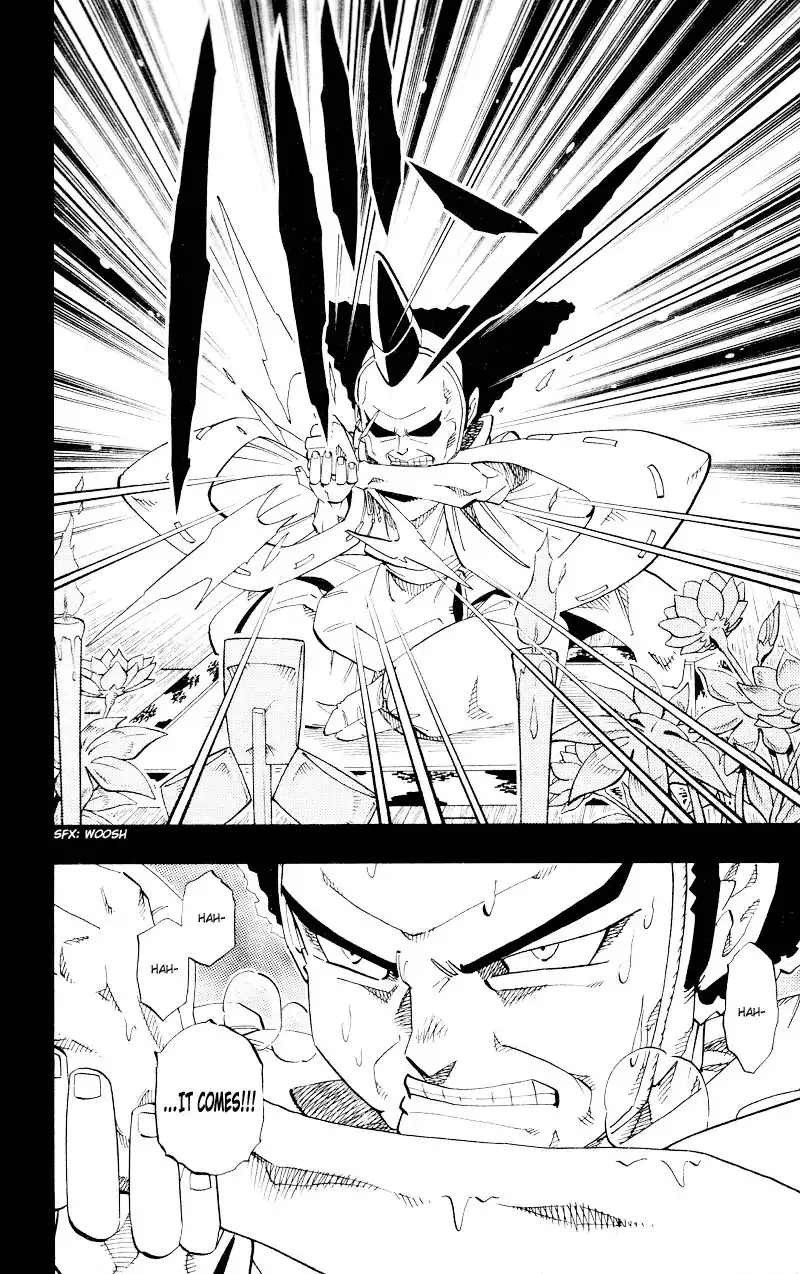 Shaman King Chapter 142 16